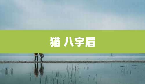 猫 八字眉