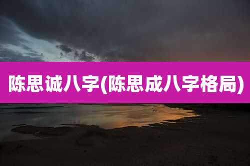 陈思诚八字(陈思成八字格局)