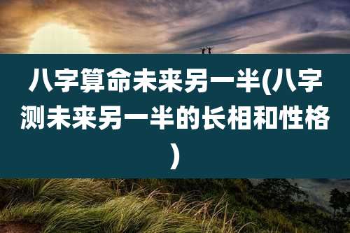 八字算命未来另一半(八字测未来另一半的长相和性格)