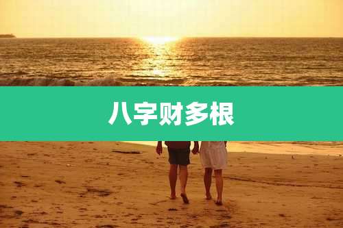 八字财多根