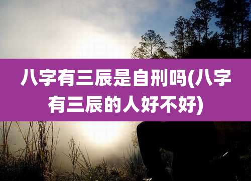 八字有三辰是自刑吗(八字有三辰的人好不好)