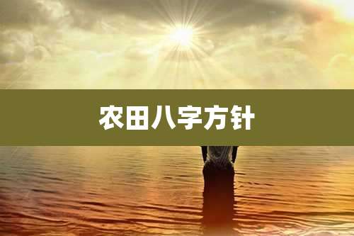 农田八字方针
