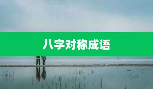 八字对称成语