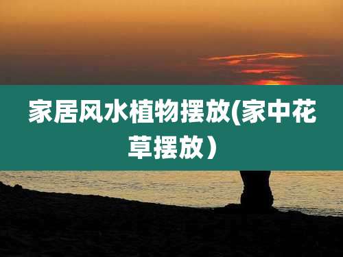 家居风水植物摆放(家中花草摆放）