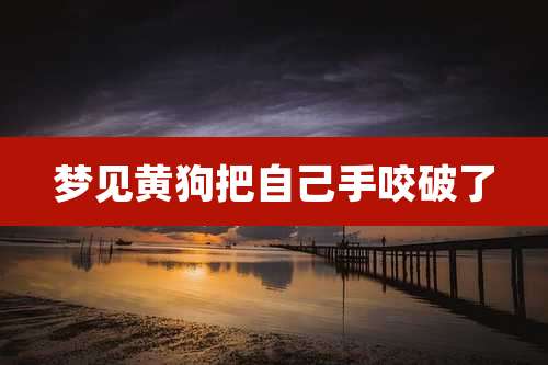 梦见黄狗把自己手咬破了