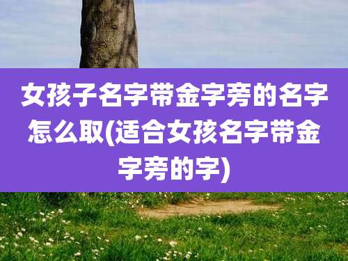 女孩子名字带金字旁的名字怎么取(适合女孩名字带金字旁的字)