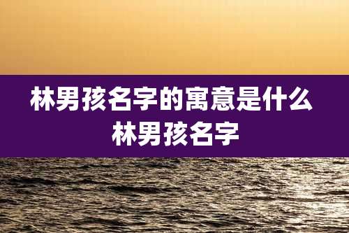 林男孩名字的寓意是什么 林男孩名字
