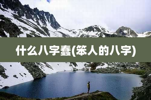 什么八字蠢(笨人的八字)