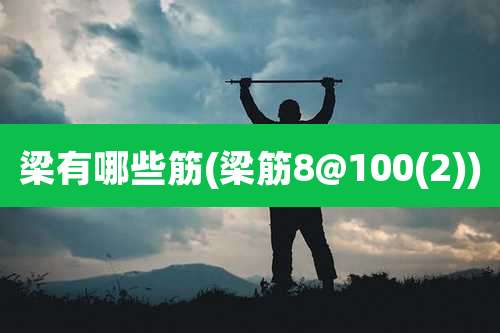 梁有哪些筋(梁筋8@100(2))