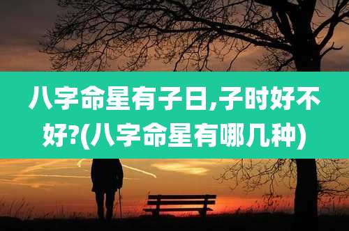 八字命星有子日,子时好不好?(八字命星有哪几种)