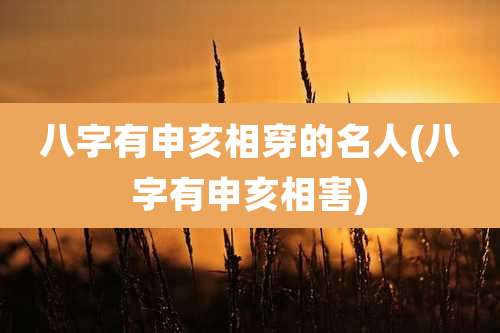 八字有申亥相穿的名人(八字有申亥相害)