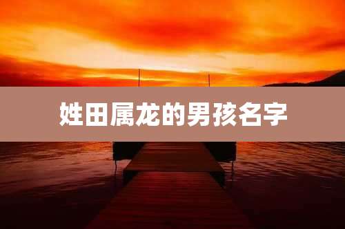 姓田属龙的男孩名字