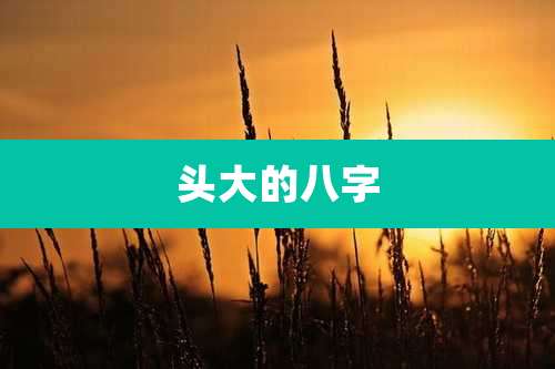 头大的八字