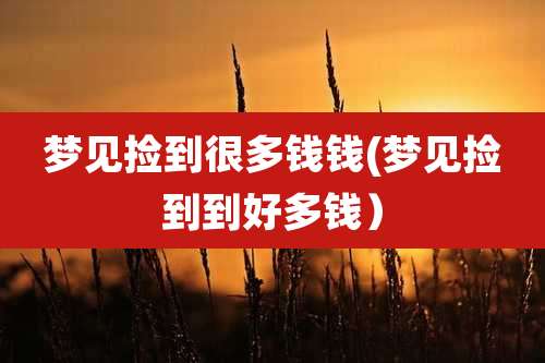 梦见捡到很多钱钱(梦见捡到到好多钱)