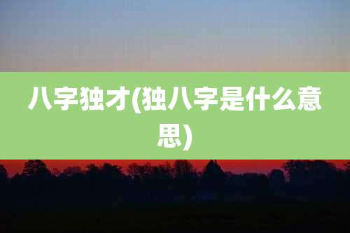 八字独才(独八字是什么意思)