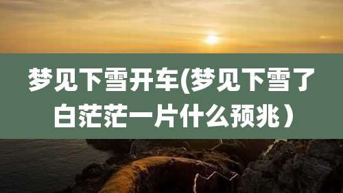 梦见下雪开车(梦见下雪了白茫茫一片什么预兆）