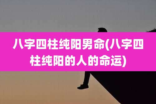 八字四柱纯阳男命(八字四柱纯阳的人的命运)