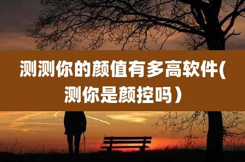 测测你的颜值有多高软件(测你是颜控吗)