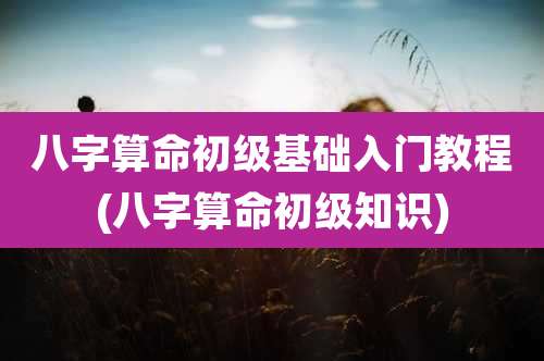 八字算命初级基础入门教程(八字算命初级知识)