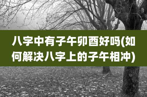 八字中有子午卯酉好吗(如何解决八字上的子午相冲)