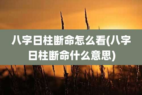 八字日柱断命怎么看(八字日柱断命什么意思)