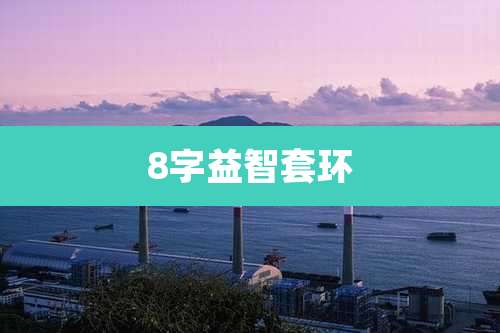 8字益智套环