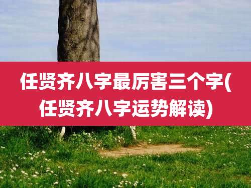 任贤齐八字最厉害三个字(任贤齐八字运势解读)