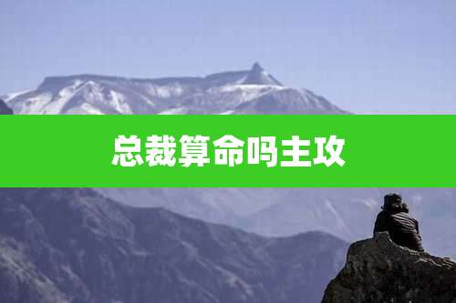 总裁算命吗主攻