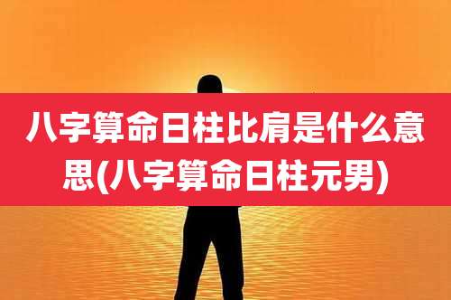 八字算命日柱比肩是什么意思(八字算命日柱元男)