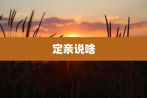 定亲说啥