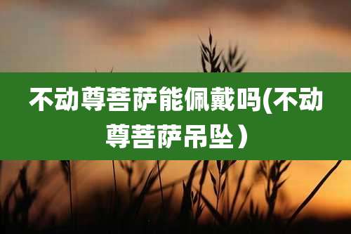 不动尊菩萨能佩戴吗(不动尊菩萨吊坠)