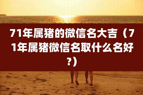71年属猪的微信名大吉（71年属猪微信名取什么名好?）