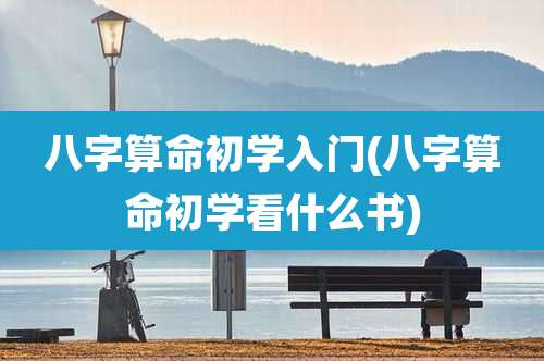 八字算命初学入门(八字算命初学看什么书)