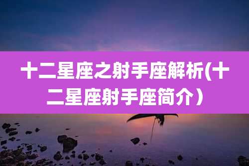 十二星座之射手座解析(十二星座射手座简介）