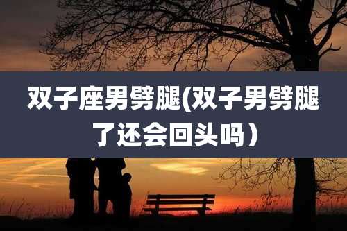 双子座男劈腿(双子男劈腿了还会回头吗）