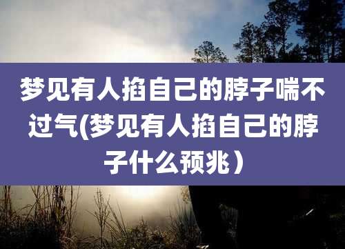 梦见有人掐自己的脖子喘不过气(梦见有人掐自己的脖子什么预兆)