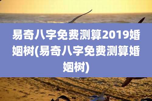 易奇八字免费测算2019婚姻树(易奇八字免费测算婚姻树)