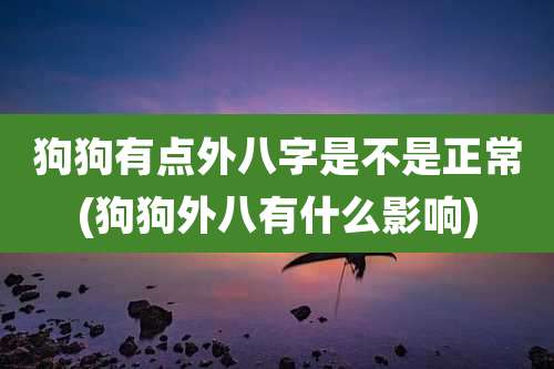 狗狗有点外八字是不是正常(狗狗外八有什么影响)