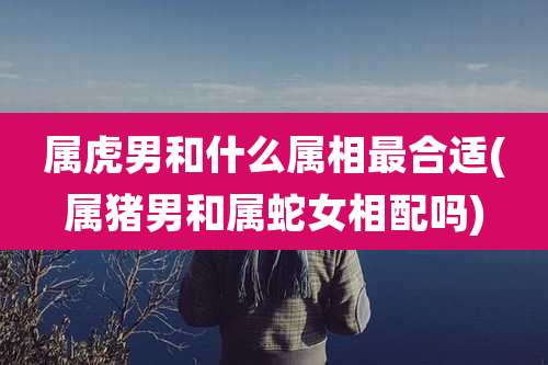 属虎男和什么属相最合适(属猪男和属蛇女相配吗)