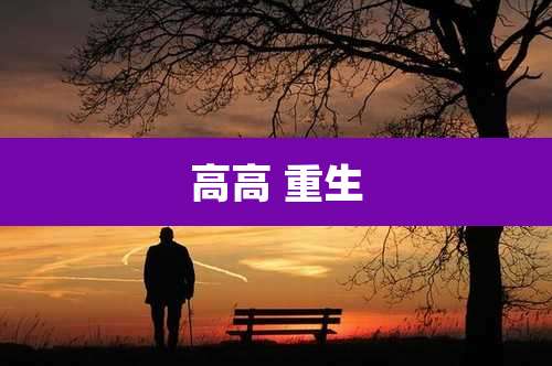 高高 重生