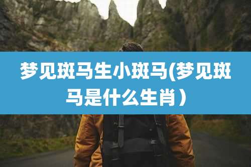 梦见斑马生小斑马(梦见斑马是什么生肖）