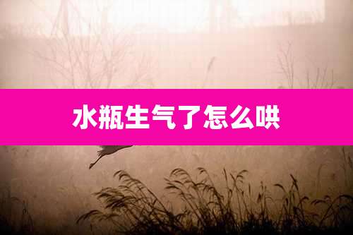 水瓶生气了怎么哄