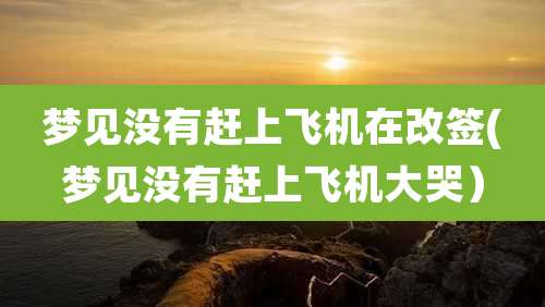 梦见没有赶上飞机在改签(梦见没有赶上飞机大哭）