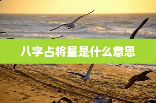 八字占将星是什么意思