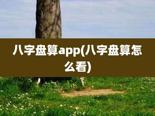 八字盘算app(八字盘算怎么看)