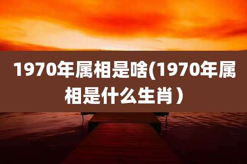 1970年属相是啥(1970年属相是什么生肖）