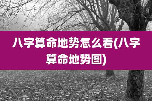 八字算命地势怎么看(八字算命地势图)