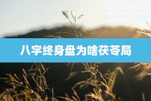 八字终身盘为啥茯苓局