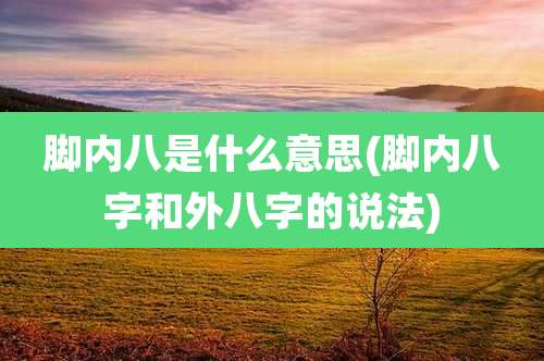 脚内八是什么意思(脚内八字和外八字的说法)