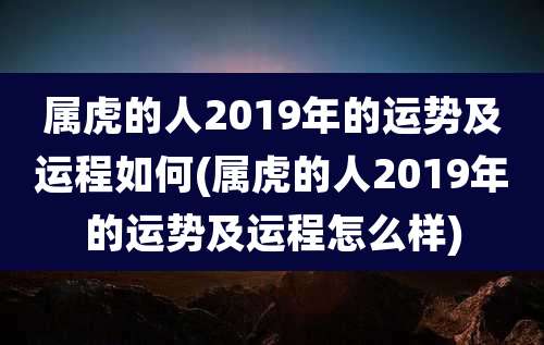 属虎的人2019年的运势及运程如何(属虎的人2019年的运势及运程怎么样)